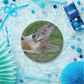 Laid-back Kangaroo Pappteller (Party)