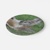 Laid-back Kangaroo Pappteller (Schrägansicht)