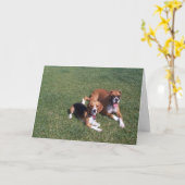 Laid Back Karte (Gelbe Blume)