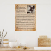 Laika, der erste Hund im Weltraum Poster (Küche)