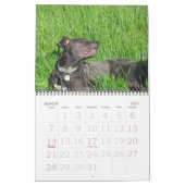 Laika-ein-Monat 2008 Kalender (Mär 2027)