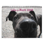 Laika-ein-Monat 2008 Kalender (Titelbild)