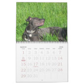 Laika-ein-Monat 2008 Kalender (Mär 2026)