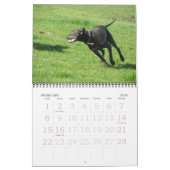 Laika-ein-Monat 2008 Kalender (Feb 2026)