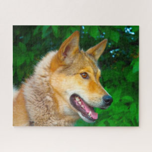 Laika Hunde Puzzles. Puzzle