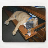 Laila, die auf Computerschreibtisch mousepad (Vorne)