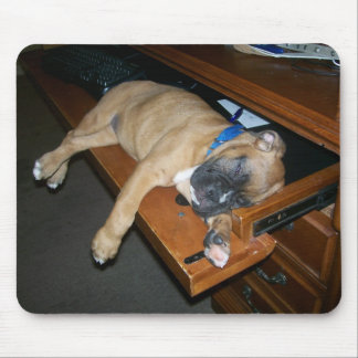 Laila, die auf Computerschreibtisch mousepad