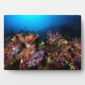 Laja Ampat Underwater Fotoplatte (Vorderseite)