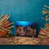 Laja Ampat Underwater Fotoplatte (Seite)