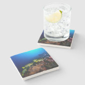 Laja Ampat Unterwasser3 Steinuntersetzer (Seitenansicht)
