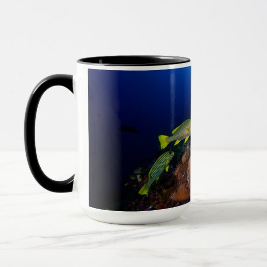 Laja Ampat Unterwasser3 Tasse (Links)