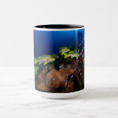 Laja Ampat Unterwasser3 Tasse (Zentrum)