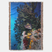 Laja Ampat Unterwasser4 Decke (Vorderseite Vertikal)