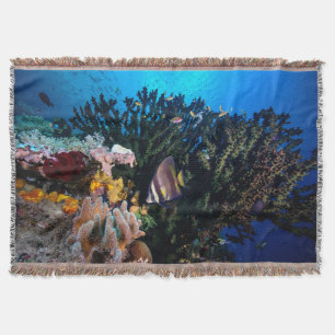 Laja Ampat Unterwasser4 Decke