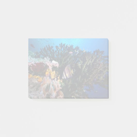 Laja Ampat Unterwasser4 Post-it Klebezettel (Vorderseite)