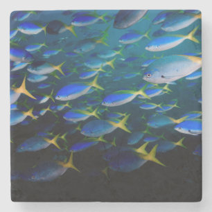 Laja Ampat Unterwasser5 Steinuntersetzer