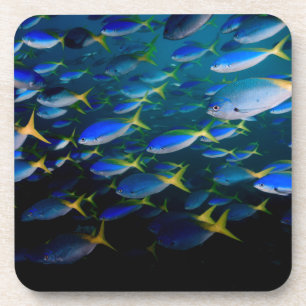 Laja Ampat Unterwasser5 Untersetzer