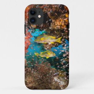 Laja Ampat Unterwasser6 Case-Mate iPhone Hülle