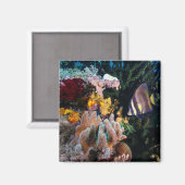 Laja Ampat Unterwasser 4 Magnet (Vorderseite/Rückseite)