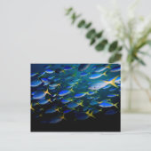 Laja Ampat Unterwasser 5 Postkarte (Stehend Vorderseite)