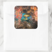 Laja Ampat Unterwasser 6 Quadratischer Aufkleber (Tasche)