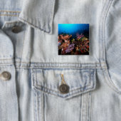 Laja Ampat Unterwasser Button (Beispiel)