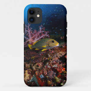 Laja Ampat Unterwasser Case-Mate iPhone Hülle