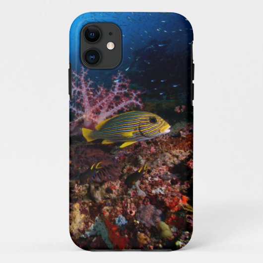 Laja Ampat Unterwasser Case-Mate iPhone Hülle (Rückseite)