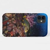 Laja Ampat Unterwasser Case-Mate iPhone Hülle (Rückseite (Horizontal))