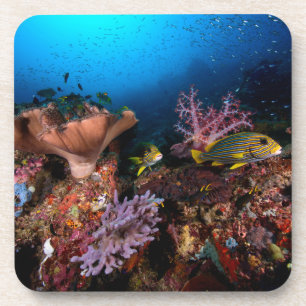 Laja Ampat Unterwasser Getränkeuntersetzer