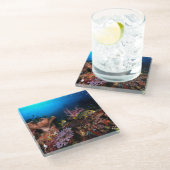 Laja Ampat Unterwasser Glasuntersetzer (Schrägansicht)