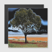 Lake Beac Solo Tree Magnetkarte (Vorne/Hinten)