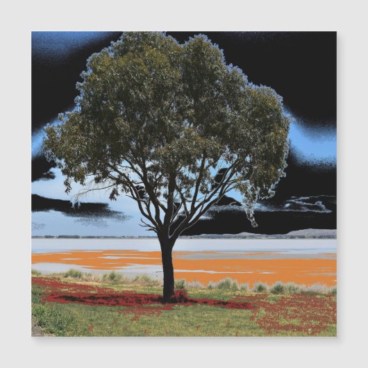 Lake Beac Solo Tree Magnetkarte (Vorderseite)