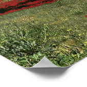 Lake Beac Solo Tree Poster (Ecke)