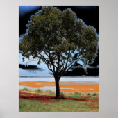 Lake Beac Solo Tree Poster (Vorne)