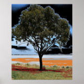 Lake Beac Solo Tree Poster (Vorne)