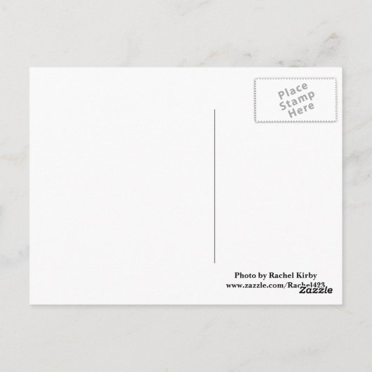 Lake Burton Postcard Postkarte (Rückseite)