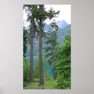 Lake Chelan Poster