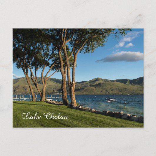Lake Chelan Washington Staat Boat & Trees Travel Postkarte (Vorderseite)