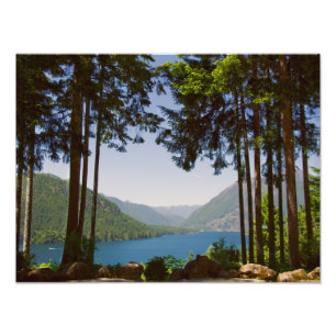 Lake Cushman Summer Print Fotodruck