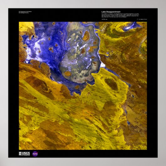 Lake Dissapointment Poster (Vorne)