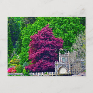 Lake District Postkarte