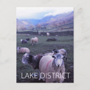 Lake District Postkarte
