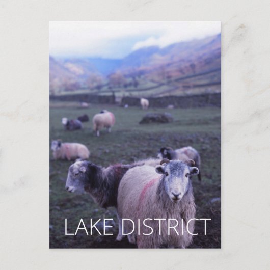 Lake District Postkarte (Vorderseite)