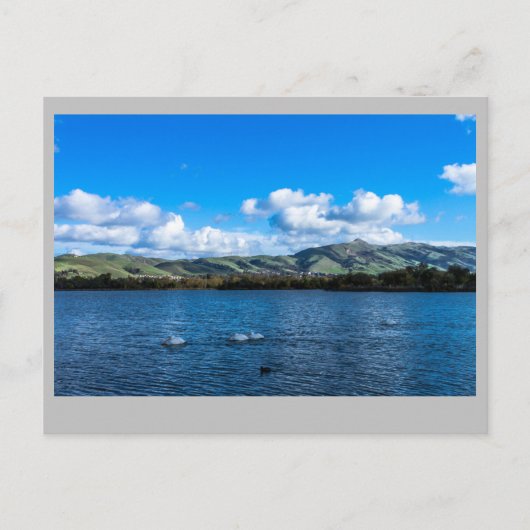 Lake Elizabeth Fremont Ca. Postkarte (Vorderseite)