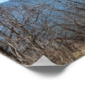 Lake Erie Foto Poster (Ecke)