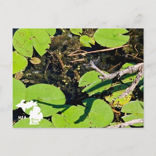 Lake Erie Metropark Dragonfly mit Logo Postkarte (Vorderseite)