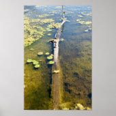 Lake Erie Metropark Turtle Log Horizontal Poster (Vorne)