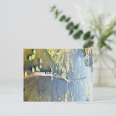 Lake Erie Metropark Turtle Log Horizontal Postkarte (Stehend Vorderseite)