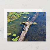 Lake Erie Metropark Turtle Log Vertical Postkarte (Vorne/Hinten)